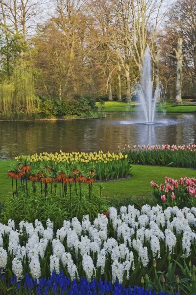 Netherlands, Lisse Garden scenic with a fountain
